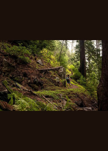 Рюкзакжилет Ultimate Direction Ultra Vesta M No Brand (316438291)