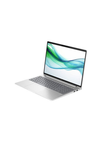 Ноутбук (m494975) HP ProBook 460 G11 (369021817)