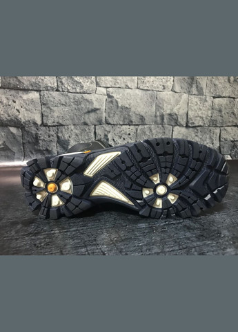 Шкіряні жіночі черевики в синьому кольорі Bistfor Черевики (303832865)