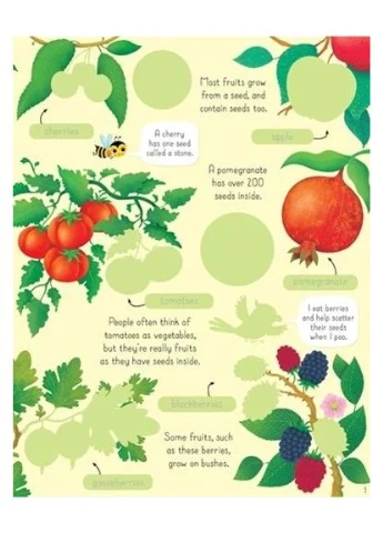 First Sticker Book. Fruit & Vegetables Usborne Publishing (370108841)