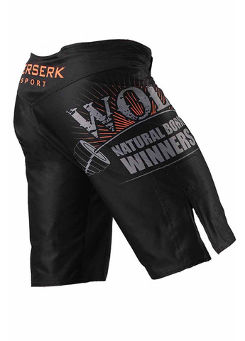 Шорти Berserk Sport (357226908)