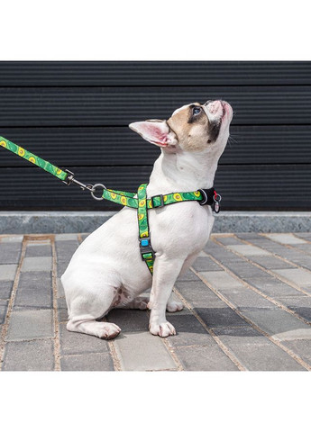 Шлей для собак быстросъемный WAUDOG Nylon с QR паспортом, рисунок "Авокадо", пластиковый фастекс, Ш 20 мм, А 45-65 см, В 55-80 см No Brand (363198457)