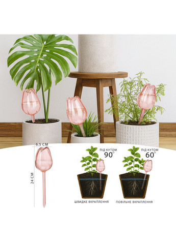 Колба для автоматичного поливання рослин прозора Троянда No Brand (366304421)