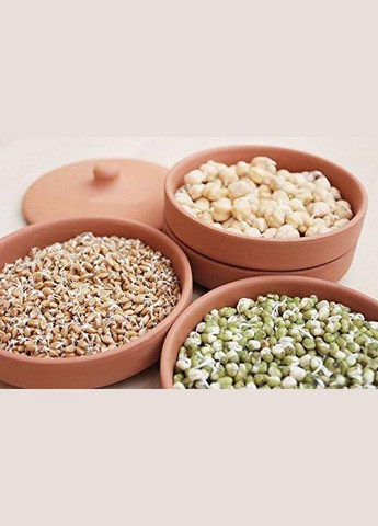 Глиняные горшки для проращивания Toni Clay Sprouter Hawos (305325592)