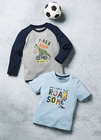 Комбінована демісезонна футболка+реглан Lupilu