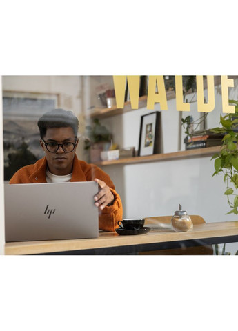 Ноутбук OmniBook 7 17-dc0004ua Glacier silver (C9RT4EA) HP (372503520)