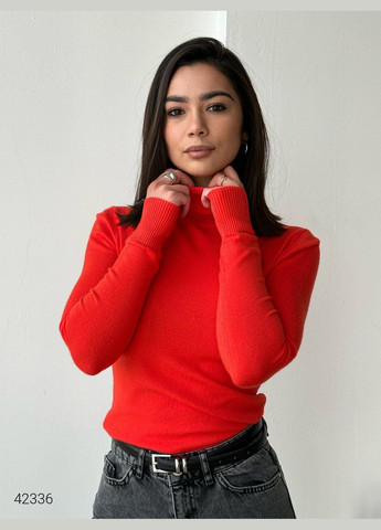 Водолазка з коміром з відворотом Liton (303727739)