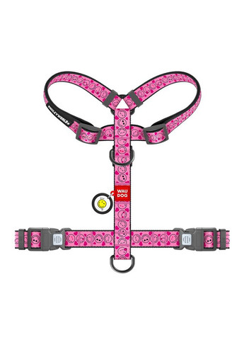 Шлея No Brand (363201291)