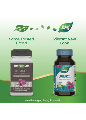 Підтримка печінки Thisilyn Milk Thistle Extract Екстракт розторопші плямистої 100 веганських капсул Nature's Way (361117535)