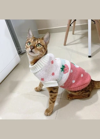 В'язаний акриловий светр для котів Pet Style "Рожева полуниця" XL No Brand - (323231835)