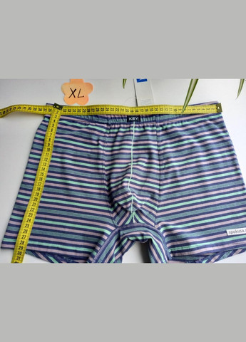 Красивая модель хлопчатобумажных шорт в полоску кей 380 Key (368788012)