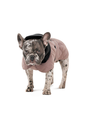 Попона Max для собак S2 такса Pet Fashion (365593360)