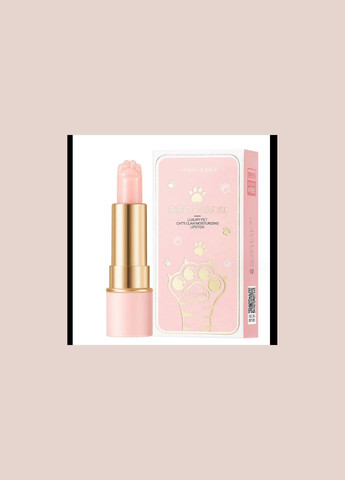 Подарочный коллекционный бокс Лапка котика сквиш 8 предметов косметики и сувениров No Brand (327873130)