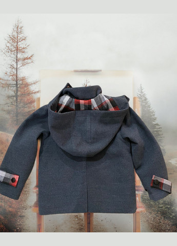 Сіра демісезонна куртка демісезонна кашемірова сіра на хлопчика Baby Angel