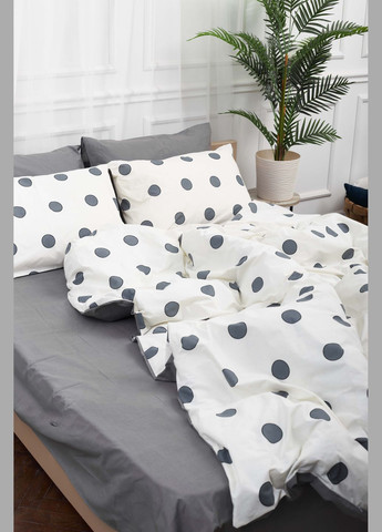 Комплект постельного белья семейный 160х220х2 наволочки 2х50х70 Ranforce Elite (MS-820000171) Moon&Star Riccarda Gray (284416565)