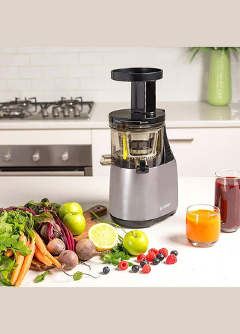 Соковыжималка Synergy Slow Juicer Black Biochef (303926817)