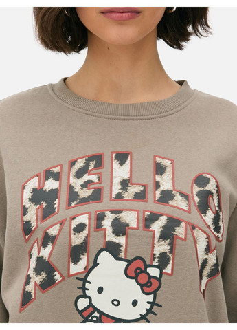 Темно-бежевий світшот фліс,темно-бежевий з принтом, Primark (364532810)