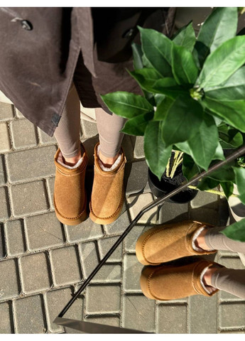 Короткие замшевые Угги Helen (364869841)