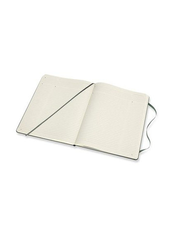 Записная книжка PRO большой зеленая PROPFNTB4HK19 Moleskine (317304615)