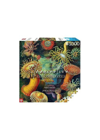 Пазл Imagination: Ernst Haeckel: Sea Anemones 1000 ел. (5908305244943) GoodLoot Imagination Ernst Haeckel Sea Anemones 1000 ел. (366156553)