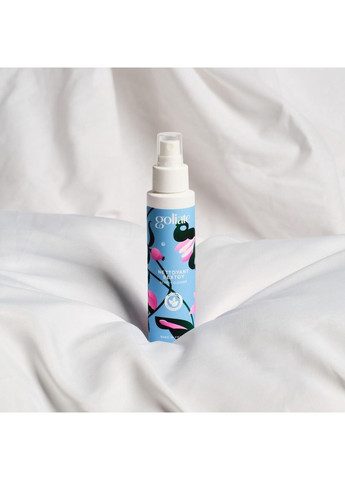 Антибактеріальний спрей для іграшок Goliate Nettoyant Sextoy 100 мл, безпечний для тіла No Brand (369636871)