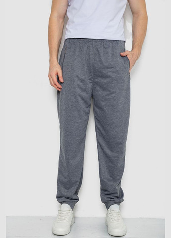 Серые спортивные демисезонные брюки Ager