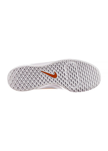 Білі Осінні чоловічі кросівки zoom court lite 3 білий Nike