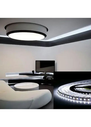 Світлодіодна стрічка OEM ST-12-2835-120-SCW-20 10000-11000K, негерметична, 1м BIOM (361068076)