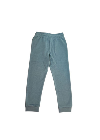 Голубые спортивные зимние брюки George