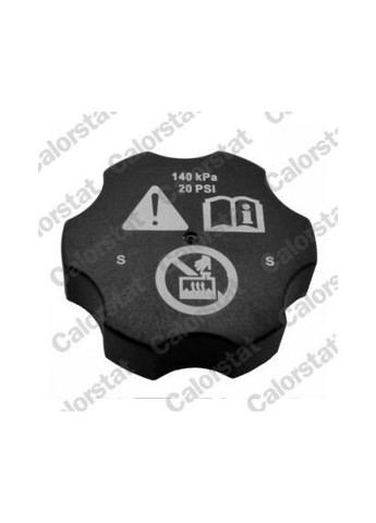 Бачок розширювальний Calorstat by Vernet (354763007)