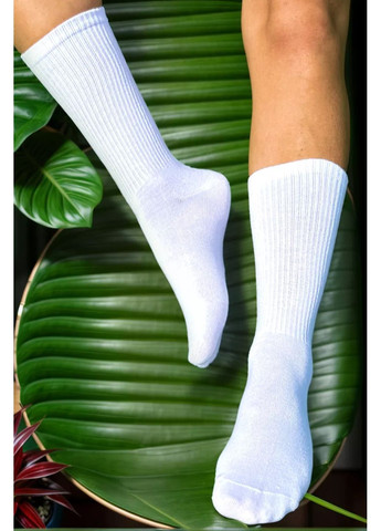 Жёлтые носки высокие с резинкой в рубчик masterstep unisex Master Step (351583731)