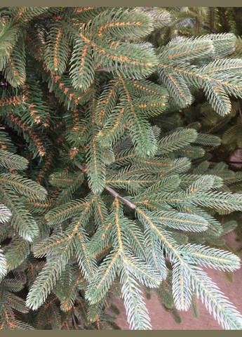 Искусственная литая елка YalynkyWorld Жозефина 180 см Kvazar (312537629)