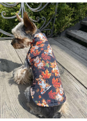 Вітровка-жилетка для собак No Brand (358652255)