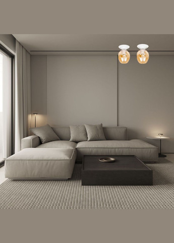 Потолочный стеклянный светильник (56-XPR0231F-1 WH+BR) No Brand (370069601)