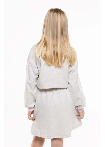 Сіра сукня Pop Fashion (284283501)