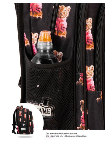 Шкільний рюкзак для дівчаток /SkyName R1-064 Winner (331532342)