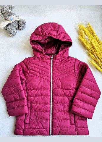 Бордова демісезонна куртка демісезонна з капюшоном Lupilu Куртка