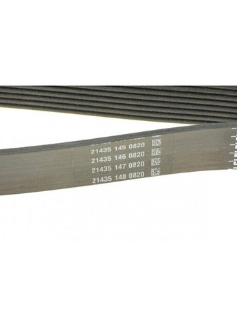 Ремінь поліклін. 8PK1460HD TRUCK (вир-во ) 8PK1460HD Dayco (366122089)