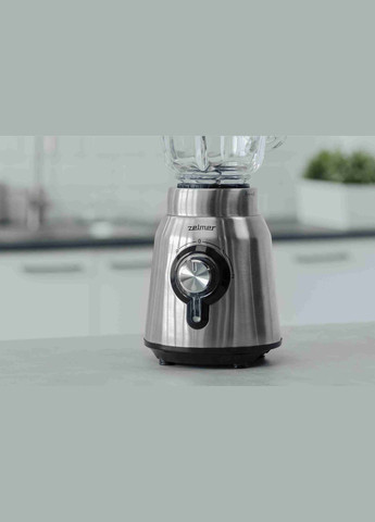 Блендер стационарный ZSB4850 Zelmer (315602573)