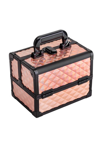 Кейс-шкатулка для визажиста 24х17х19 см 19205-026 No Brand (346532727)