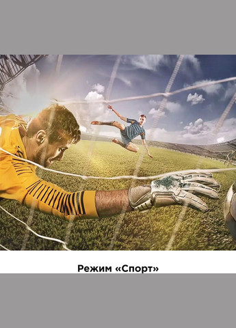 Телевизор 32S5400AF TCL (332975552)