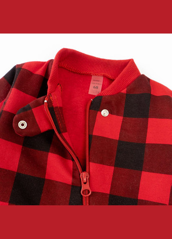 Человек на молнии с начесом Dexter`s plaid dexter's (279760470)