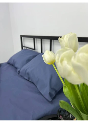 Комплект постельного белья семейный 150х210 (2 шт) Бязь Gold Luxe простыня на резинке 160х200х20 наволочки 50х70 No Brand (386156418)
