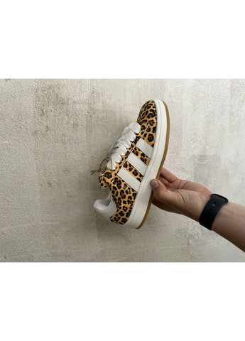 Білі Осінні кросівки чоловічі adidas campus white leopard адідас кампус No Brand