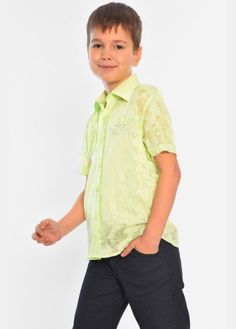Сорочка дитяча хлопчик салатова Let's Shop (316295758)