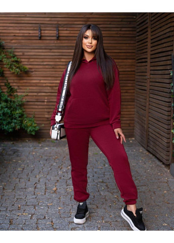 Женский спортивный костюм на флисе Fashion (354203155)