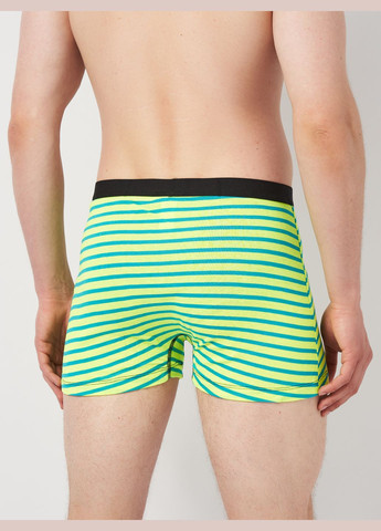 Трусы (3шт) Basic Collection (295079689)