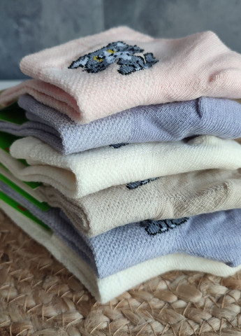 Носки детские в сетку хлопок 6 пар DL 707/6 Lomani (338434852)