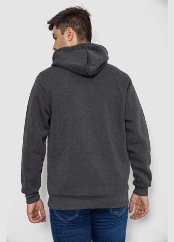 Худі чоловічий на флісі з капюшоном,, 244R2197 Ager (317426729)