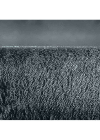 Электрическая грелка HK 125 Cosy Grey Beurer (323042118)